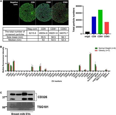 Extracellular vesicle miRNAs in breast milk of obese mothers